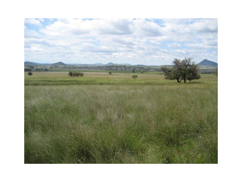 Coonabarabran NSW 2357