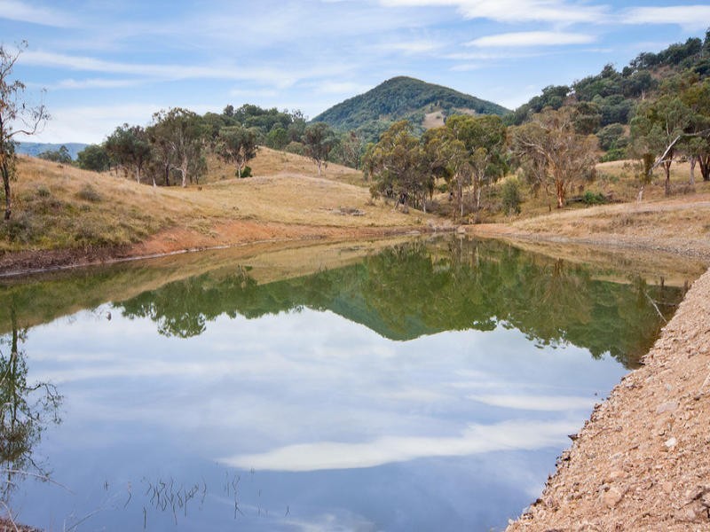 120 Dungowan Dam Road, Ogunbil NSW 2340