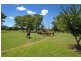 17 Catherine Way, Tamworth NSW 2340