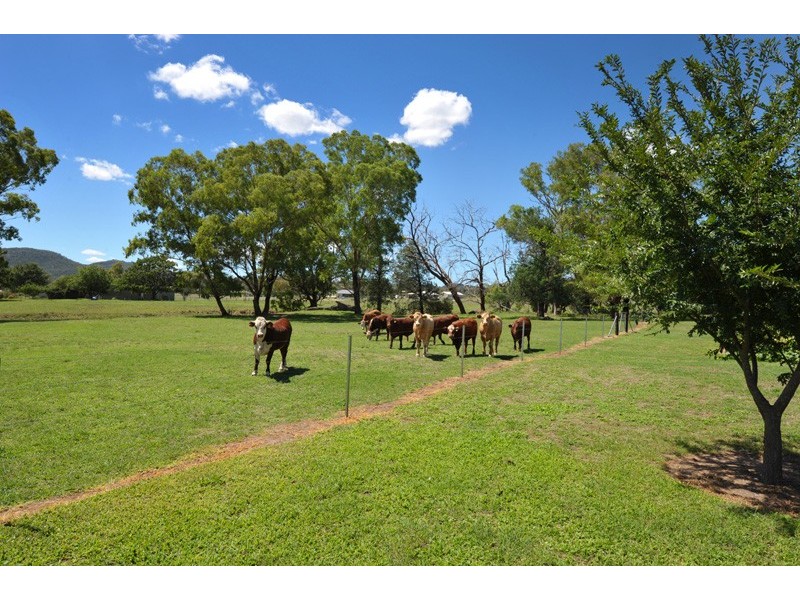 17 Catherine Way, Tamworth NSW 2340