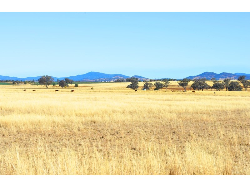 473-585 Heiligmans Lane, Bithramere NSW 2340