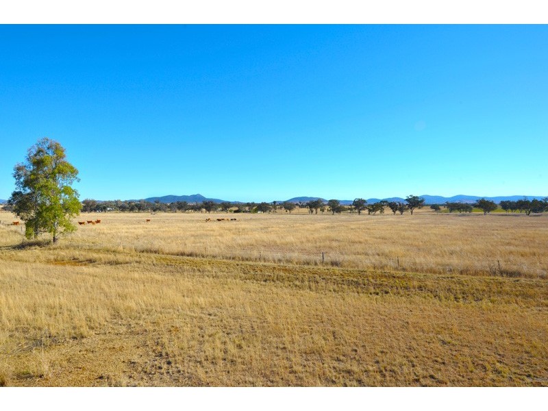 473-585 Heiligmans Lane, Bithramere NSW 2340