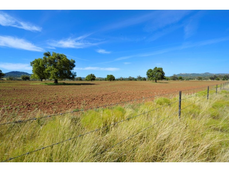 1299 Babbinboon Road, Piallaway NSW 2342