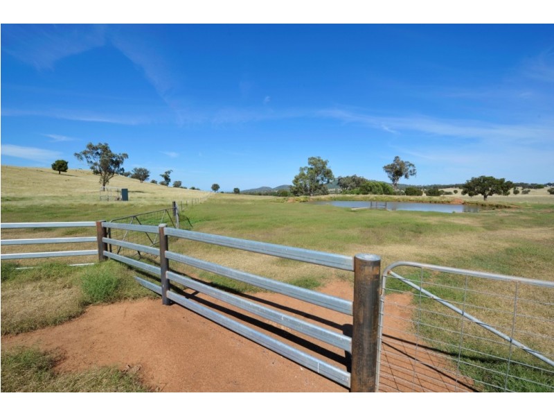 1299 Babbinboon Road, Piallaway NSW 2342