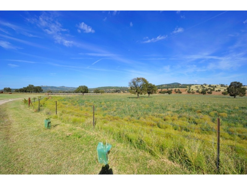 1299 Babbinboon Road, Piallaway NSW 2342