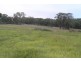 1434 Bungendore Spur Road, Bendemeer NSW 2355