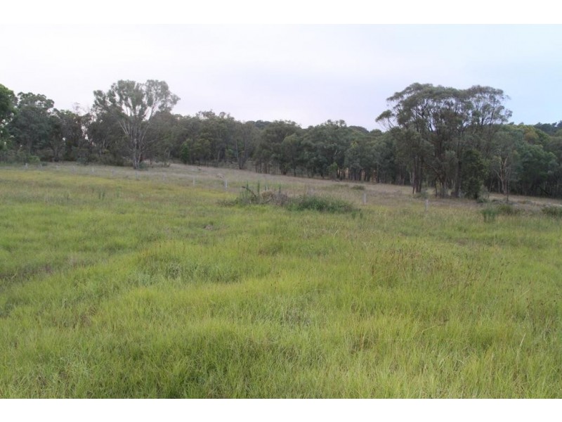 1434 Bungendore Spur Road, Bendemeer NSW 2355