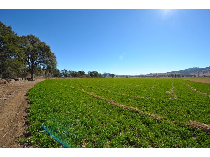 324 Nundle Road, Tamworth NSW 2340