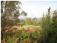 103 Dunoon  Road, Moore Creek NSW 2340