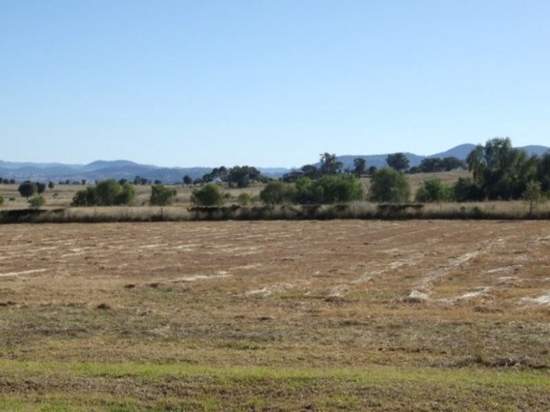 24 Daintree Circuit., Tamworth NSW 2340
