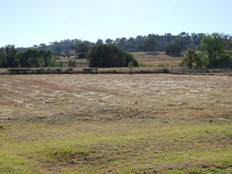 24 Daintree Circuit., Tamworth NSW 2340