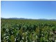 Caroona NSW 2343