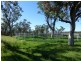 Caroona NSW 2343