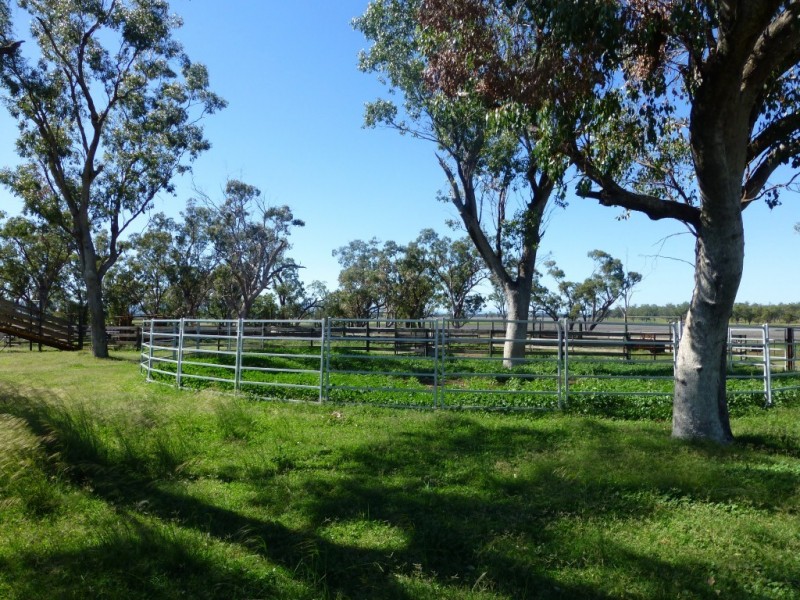 Caroona NSW 2343