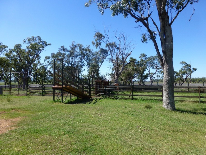 Caroona NSW 2343