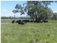 Caroona NSW 2343