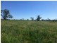 Caroona NSW 2343