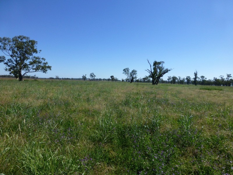 Caroona NSW 2343