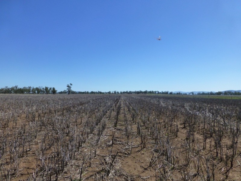 Caroona NSW 2343