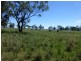 Caroona NSW 2343