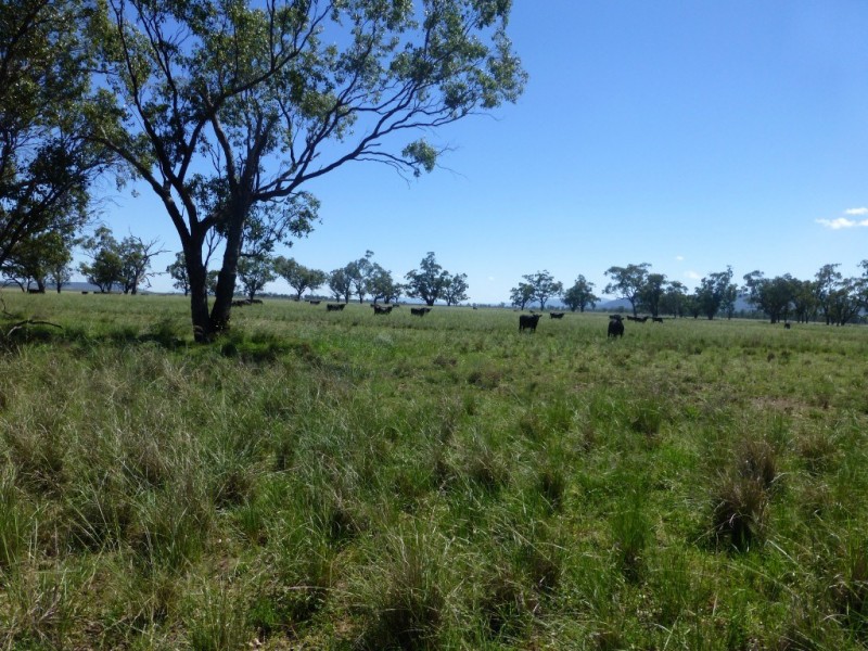 Caroona NSW 2343