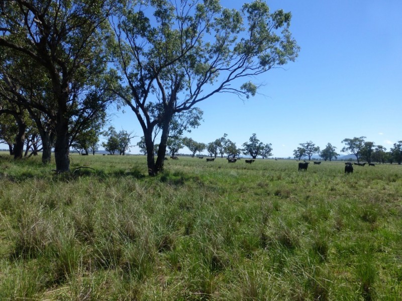 Caroona NSW 2343