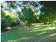 21 Gill  Street, Nundle NSW 2340
