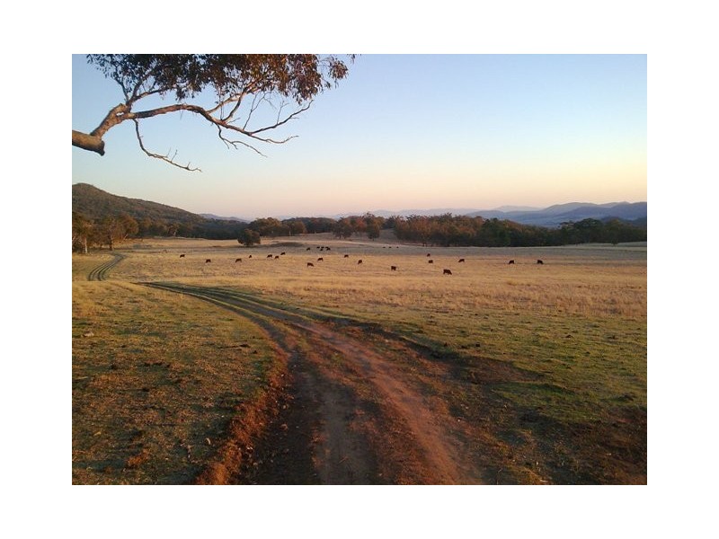 75 West Caragnoo Road – ‘Fig Trees’, Moonbi NSW 2353