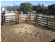75 West Caragnoo Road – ‘Fig Trees’, Moonbi NSW 2353