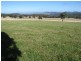 75 West Caragnoo Road – ‘Fig Trees’, Moonbi NSW 2353