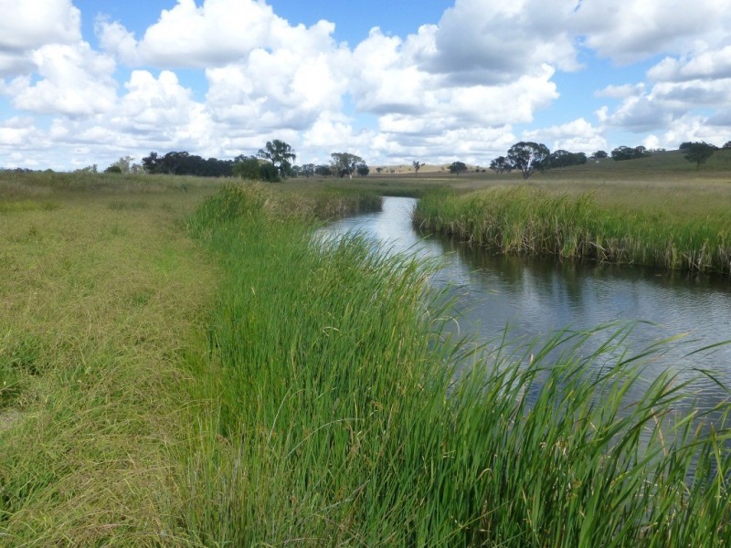 2141 Burindi Road- ‘Riverbend’, Barraba NSW 2347