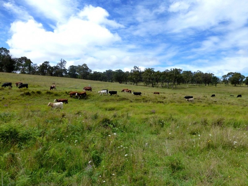 6832 New England Highway- ‘Bimbi Vale’, Kentucky NSW 2354