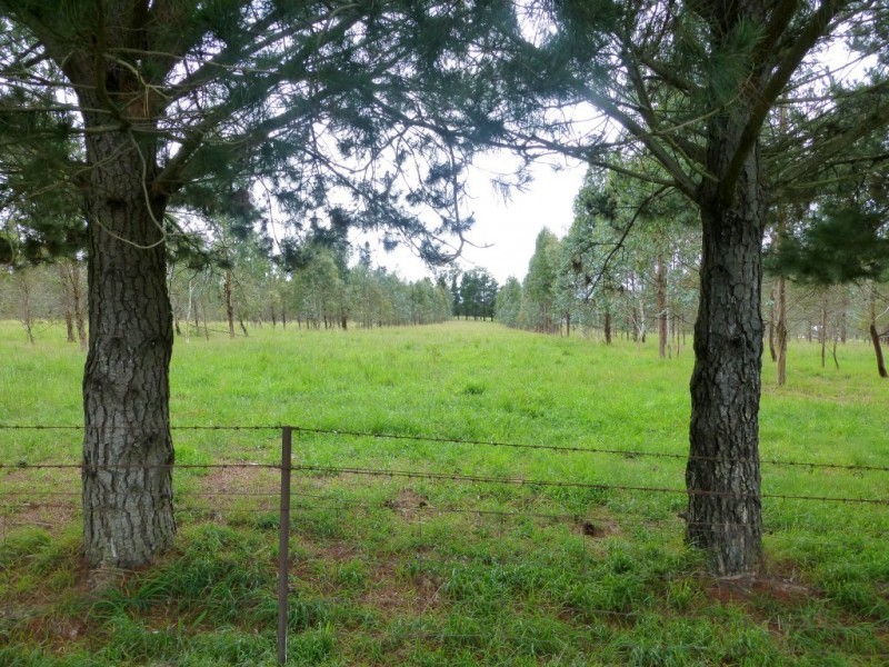 6832 New England Highway- ‘Bimbi Vale’, Kentucky NSW 2354