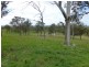 6832 New England Highway- ‘Bimbi Vale’, Kentucky NSW 2354