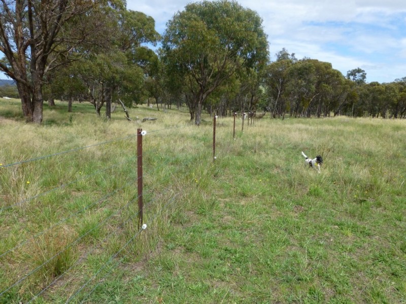 6832 New England Highway- ‘Bimbi Vale’, Kentucky NSW 2354