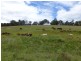 6832 New England Highway- ‘Bimbi Vale’, Kentucky NSW 2354