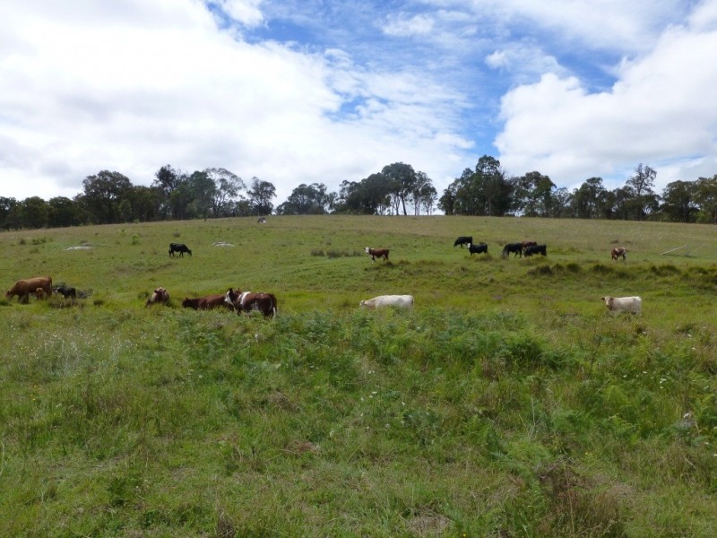 6832 New England Highway- ‘Bimbi Vale’, Kentucky NSW 2354
