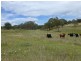 6832 New England Highway- ‘Bimbi Vale’, Kentucky NSW 2354