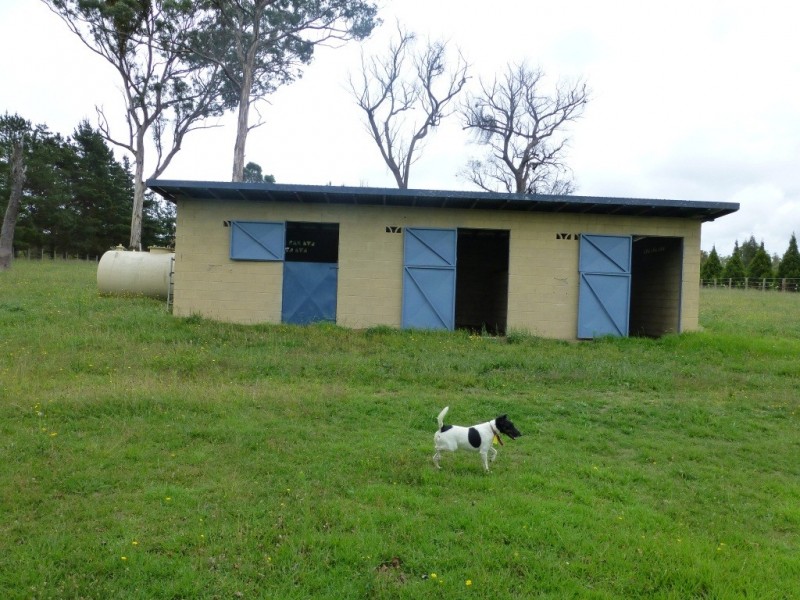 6832 New England Highway- ‘Bimbi Vale’, Kentucky NSW 2354