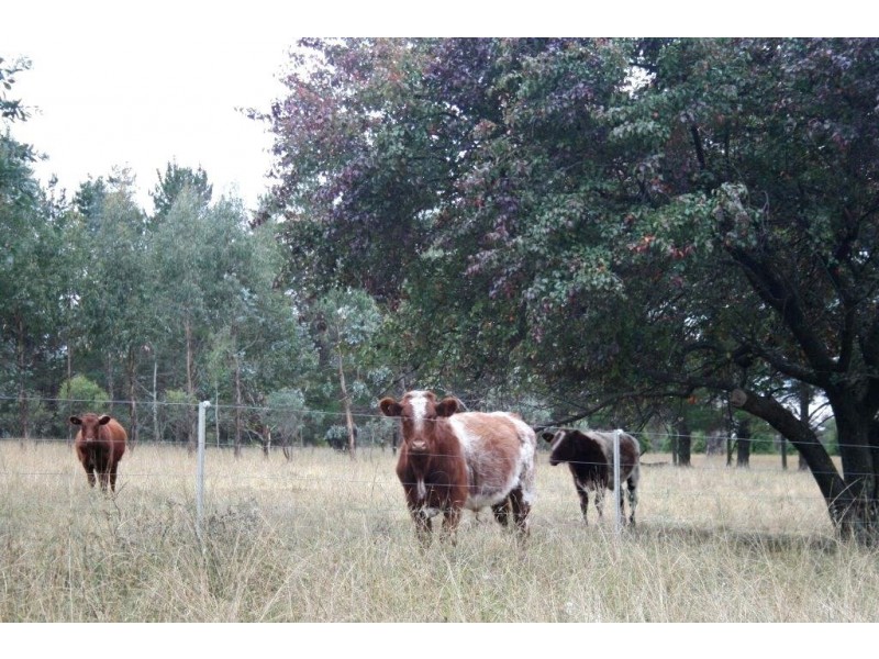 6832 New England Highway- ‘Bimbi Vale’, Kentucky NSW 2354