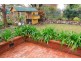 56 Mahony Avenue, Tamworth NSW 2340