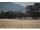 1435 Rushes Creek Road- ‘Armani’, Manilla NSW 2346