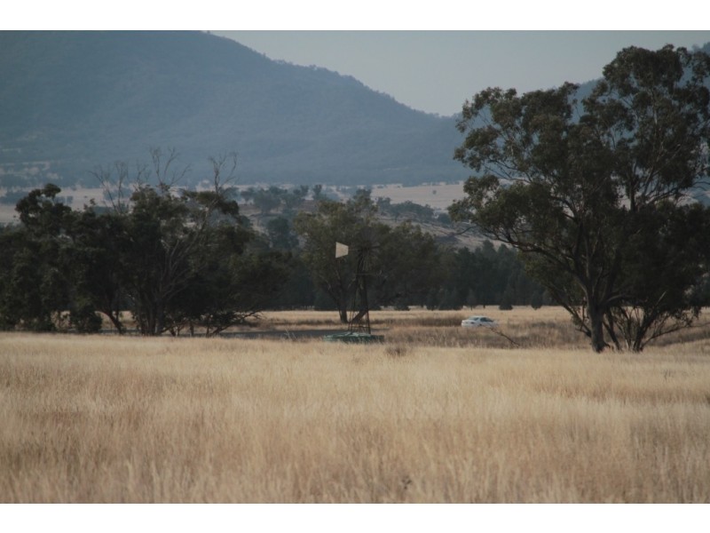 1435 Rushes Creek Road- ‘Armani’, Manilla NSW 2346