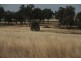1435 Rushes Creek Road- ‘Armani’, Manilla NSW 2346