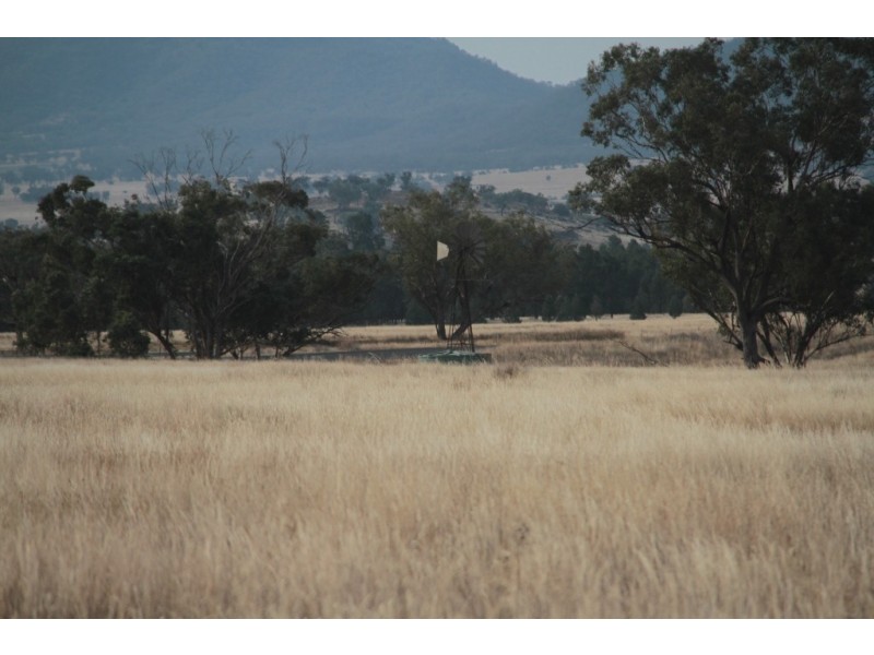 1435 Rushes Creek Road- ‘Armani’, Manilla NSW 2346