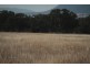 1435 Rushes Creek Road- ‘Armani’, Manilla NSW 2346