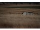 1435 Rushes Creek Road- ‘Armani’, Manilla NSW 2346