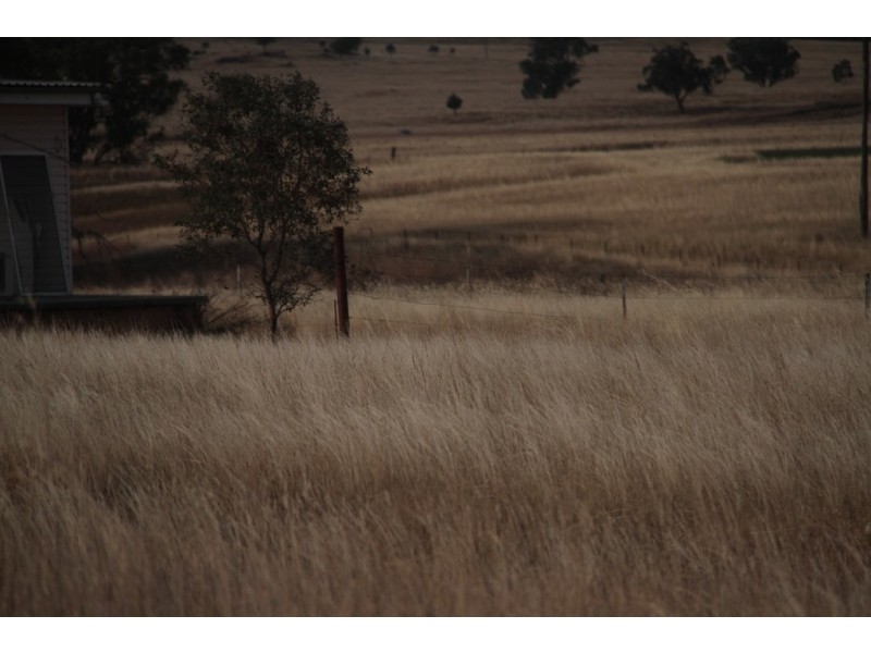 1435 Rushes Creek Road- ‘Armani’, Manilla NSW 2346