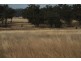 1435 Rushes Creek Road- ‘Armani’, Manilla NSW 2346