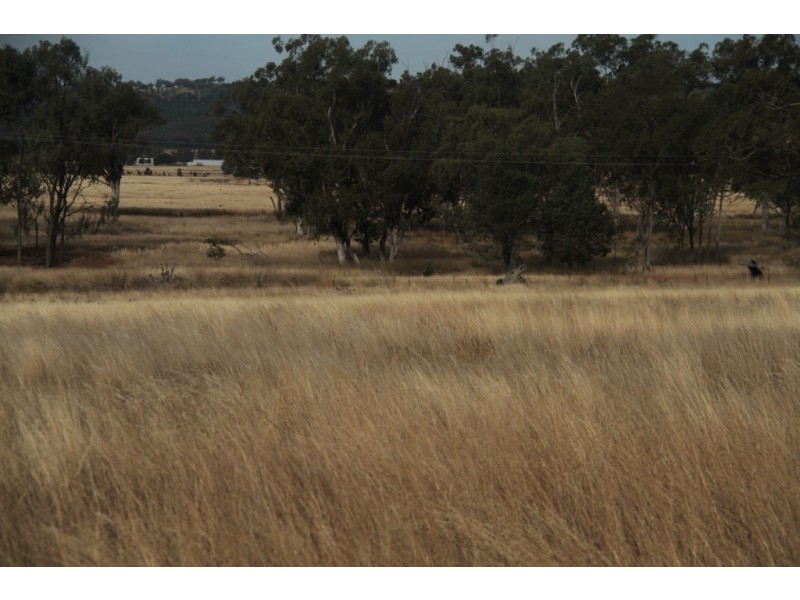 1435 Rushes Creek Road- ‘Armani’, Manilla NSW 2346